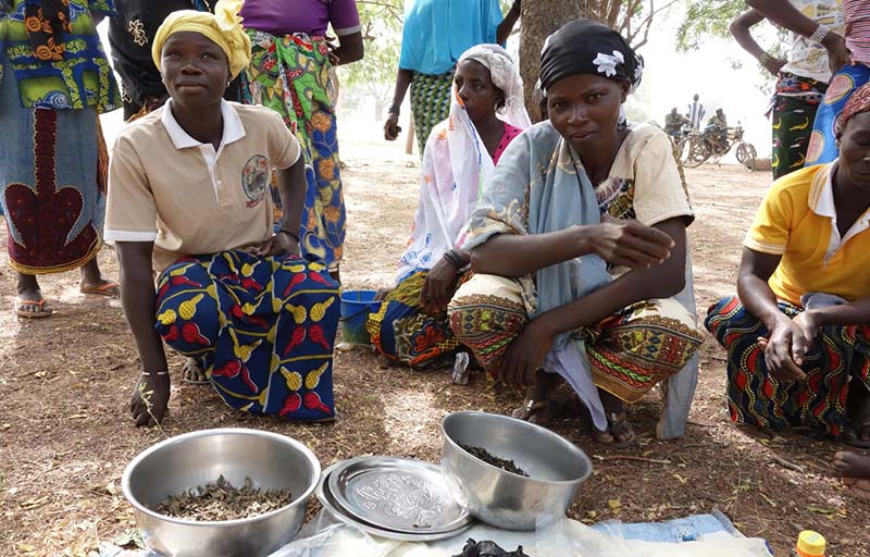 Agroecology-resistance_Burkina-Faso-.jpg