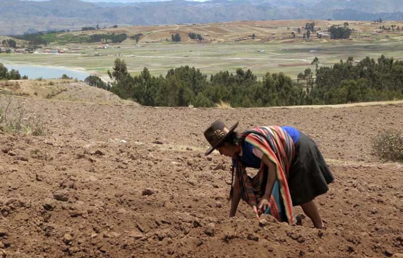 mothers-of-the-land-.jpg